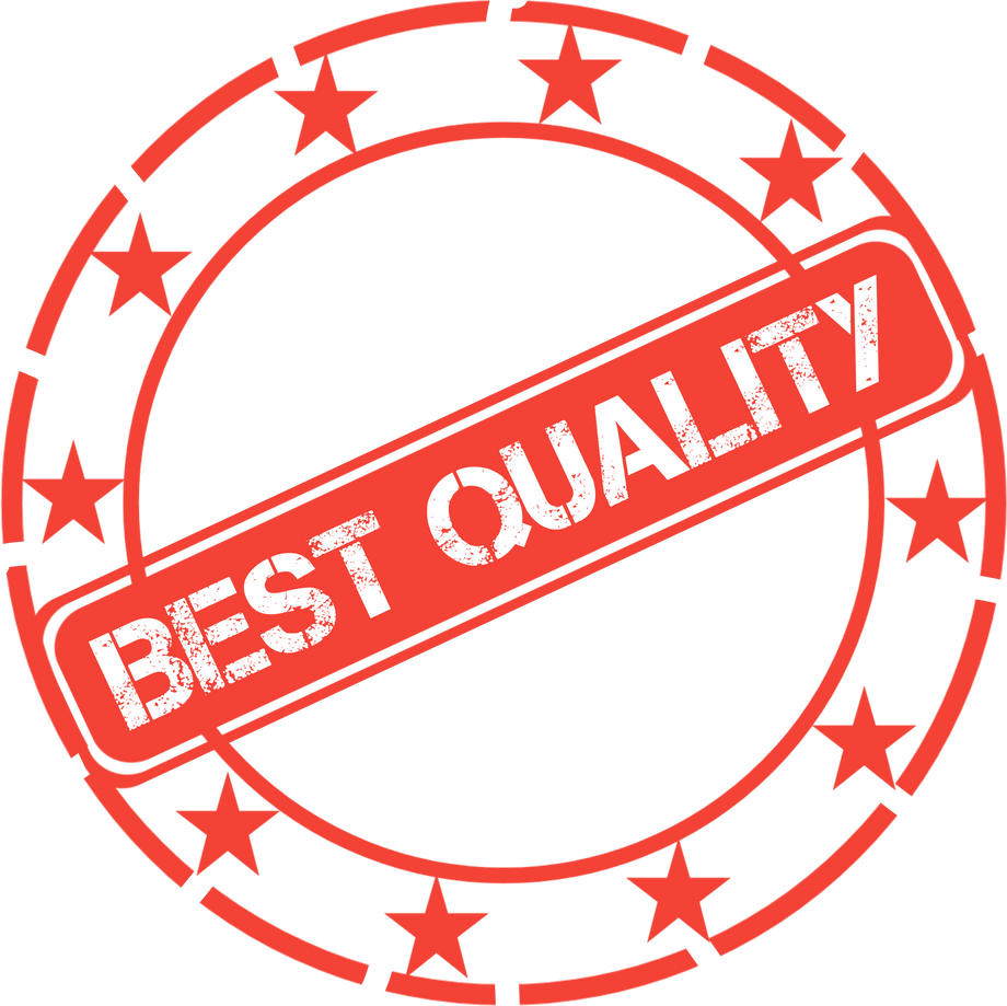 Best Quality Logo Illustration 